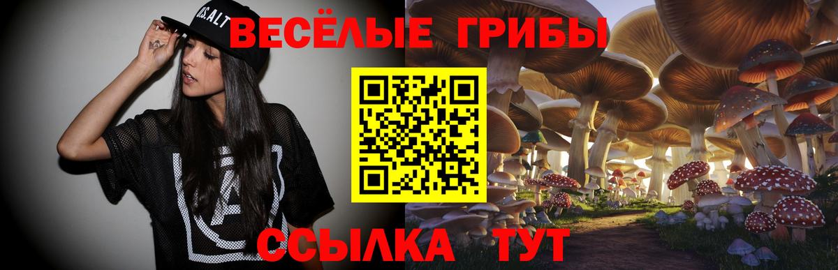 Галлюциногенные грибы Magic Shrooms Казань
